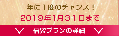 2019福袋プラン